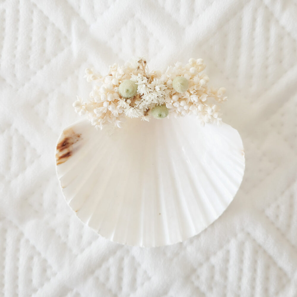 Concha vieira com flores