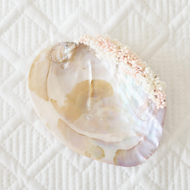 Concha madrepérola com flores