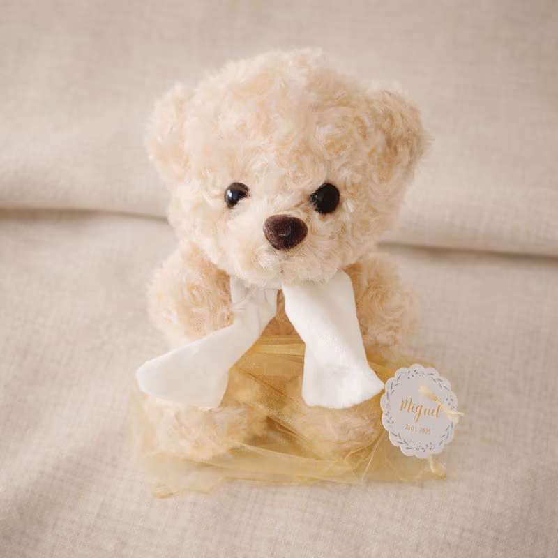 Ursinho de Peluche
